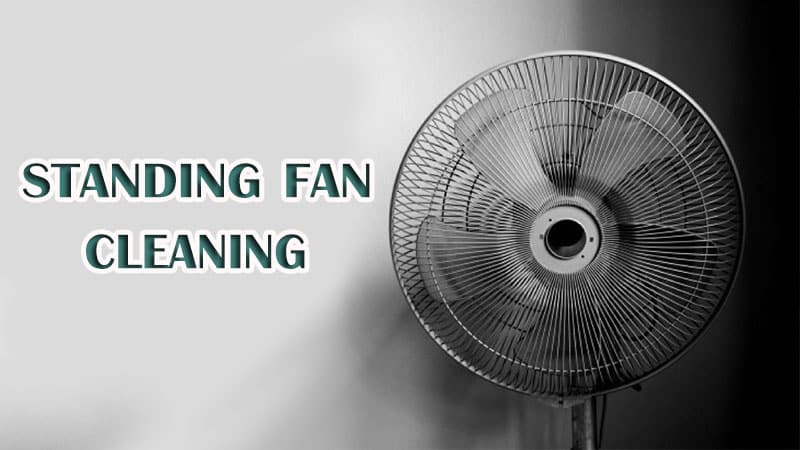 clean fan